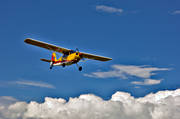 allm�nflyg, Bellanca, bl� himmel, Citabria, enmotorigt, flyg, flygplan, kommunikationer, luftfart, moln, propeller, sportflyg