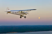 allm�nflyg, Cub, flyg, flygplan, frihet, fullm�ne, kommunikationer, luftfart, l�ngtan, m�nsken, pipercub, se-xlm, sportflyg