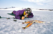 fiske, fj�llfiske, kikmeta, kikmete, pimpel, pimpelfiske, r�ding, sportfiske, vinterfiske