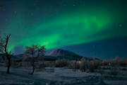 himmel, natur, Nikkaluokta, norrsken, polarnatt, polarsken, vinter, �rstid, �rstider